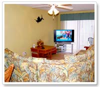 Living Room with Big Screen TV