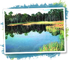 International Golf Club in Myrtle Beach