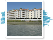Ocean Marsh