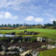 Supreme Golf Package