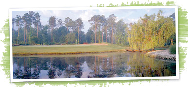 Brunswick Package Myrtle Beach
