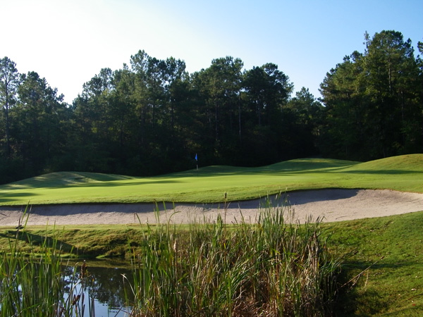 Woodland_Valley5