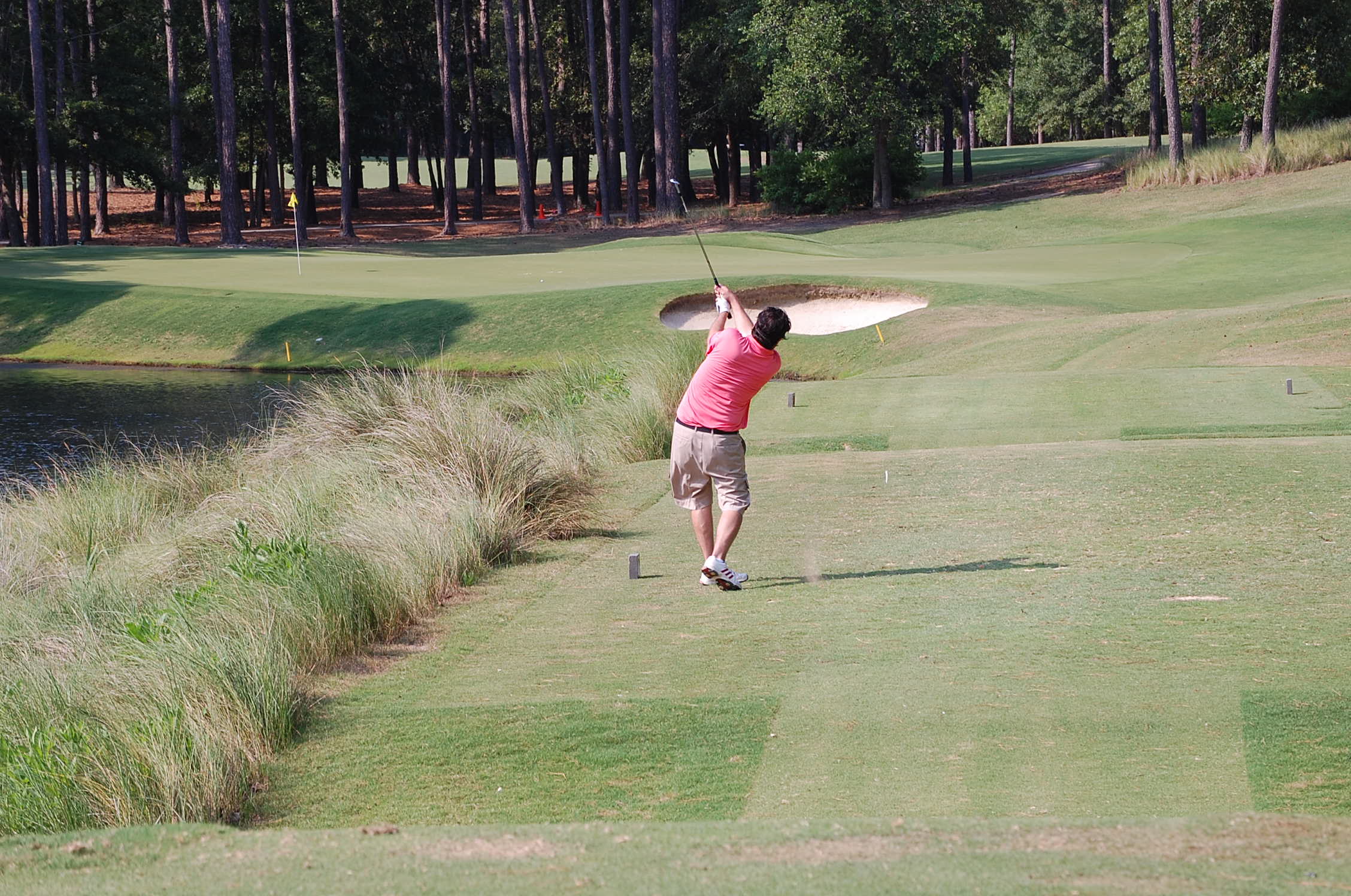 Ole MBGolfPro