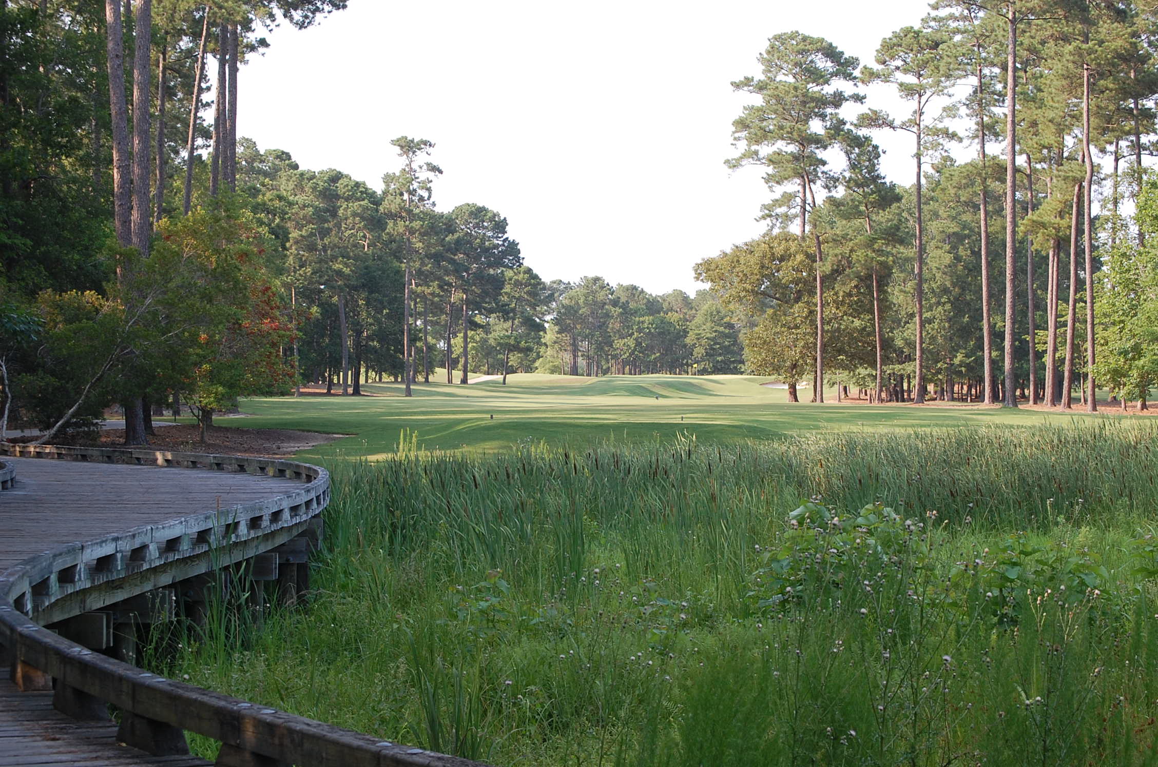 Tpc of Myrtle Beach Golf Course