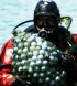 Diving for Golf Balls