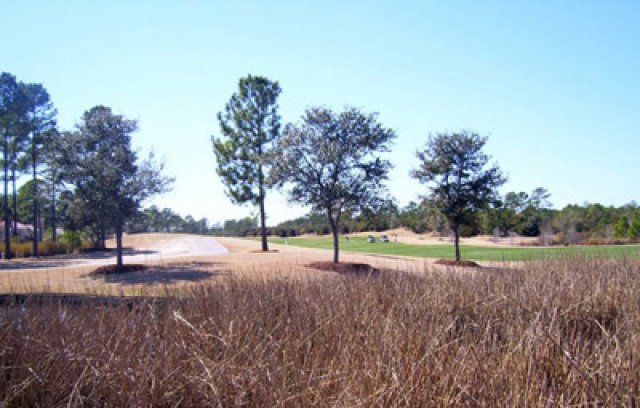 Grande Dunes Golf Course (Myrtle Beach SC) Golf Only Rates