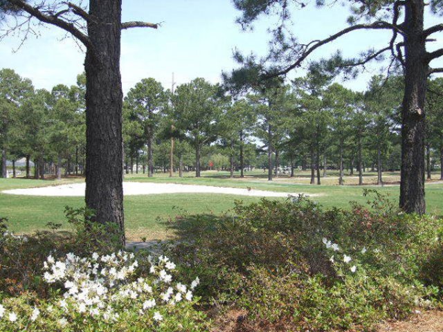 Myrtlewood Palmetto Golf Course (Myrtle Beach SC) Tee Times