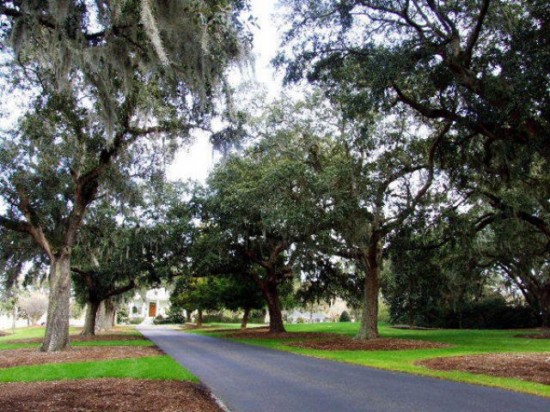 Caledonia Golf Course 