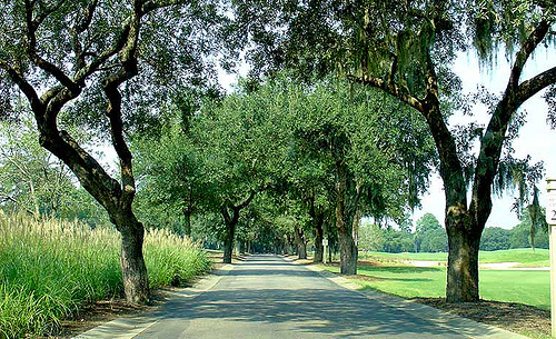 Caledonia Golf Course Entrance