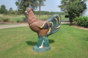 Farmstead Rooster
